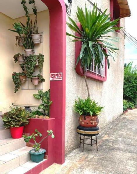 Residence Bertille Abidjan Cocody Bagian luar foto